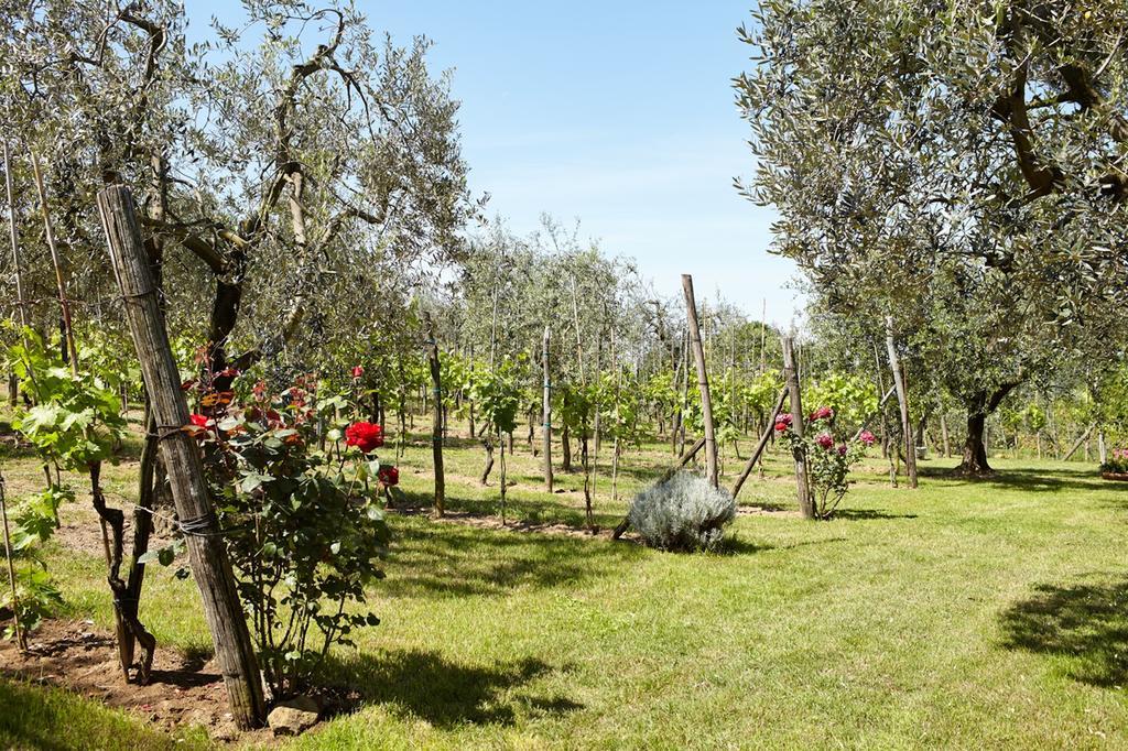 Podere La Casuccia Malmantile Номер фото