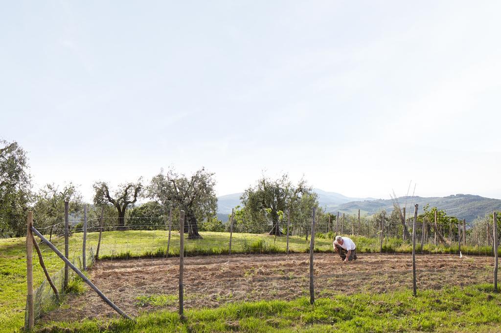 Podere La Casuccia Malmantile Номер фото