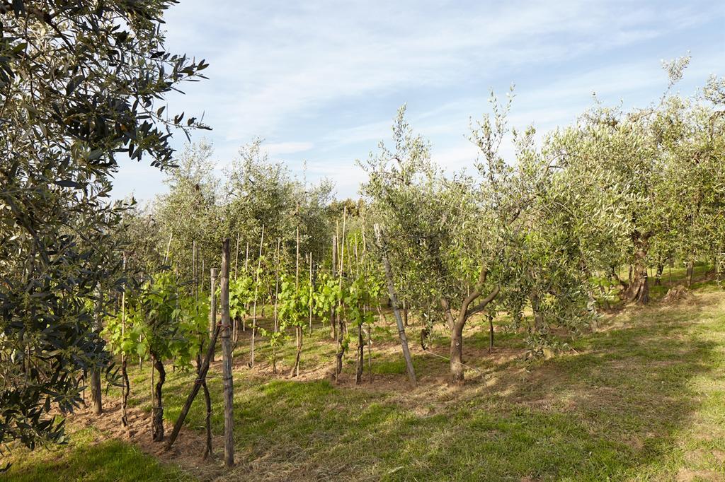 Podere La Casuccia Malmantile Номер фото