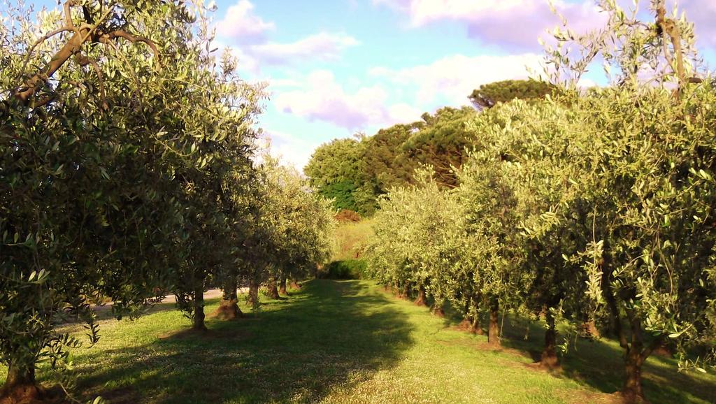 Podere La Casuccia Malmantile Номер фото
