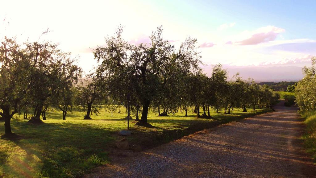 Podere La Casuccia Malmantile Номер фото
